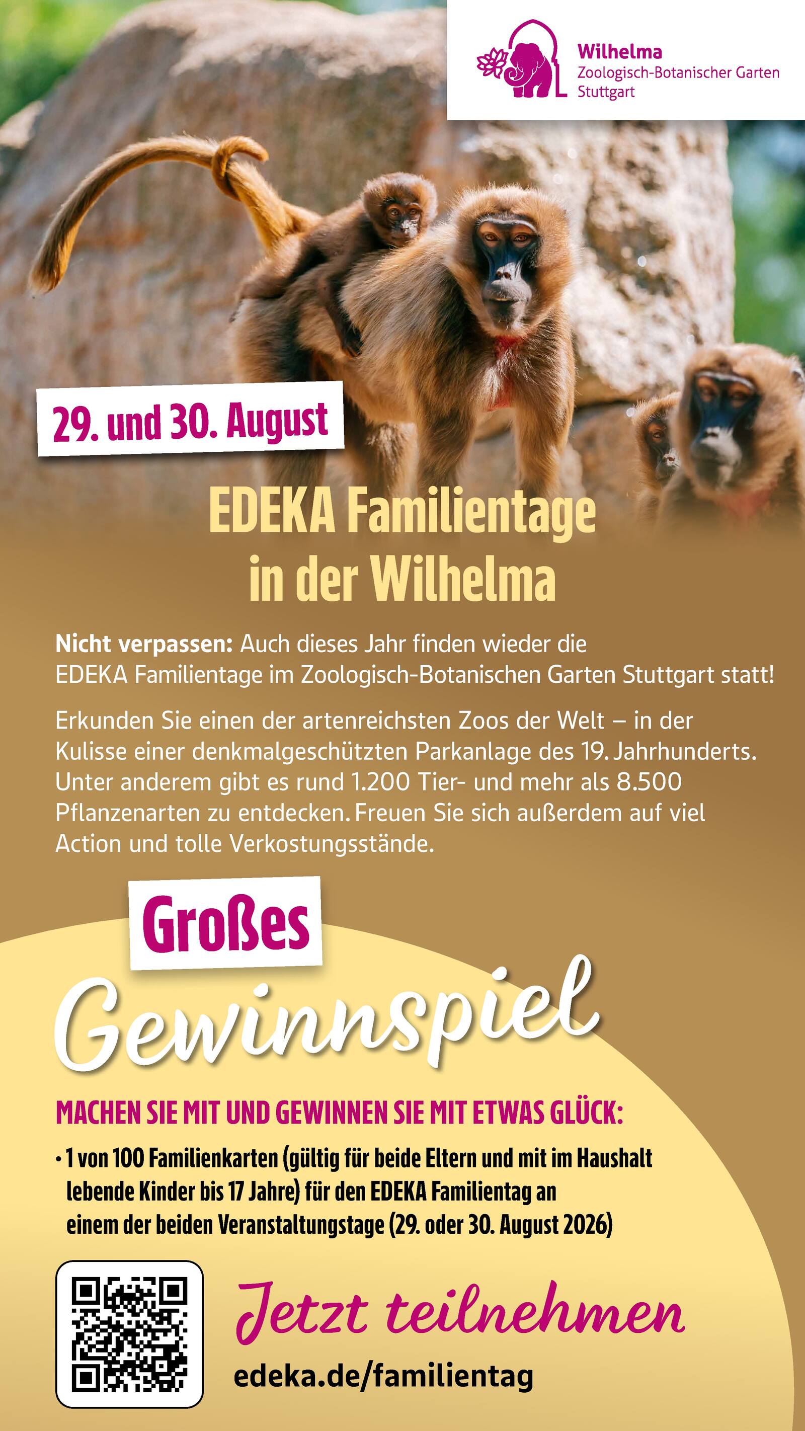 Edeka Prospekt ab Montag - Baden - Württemberg Seite 47