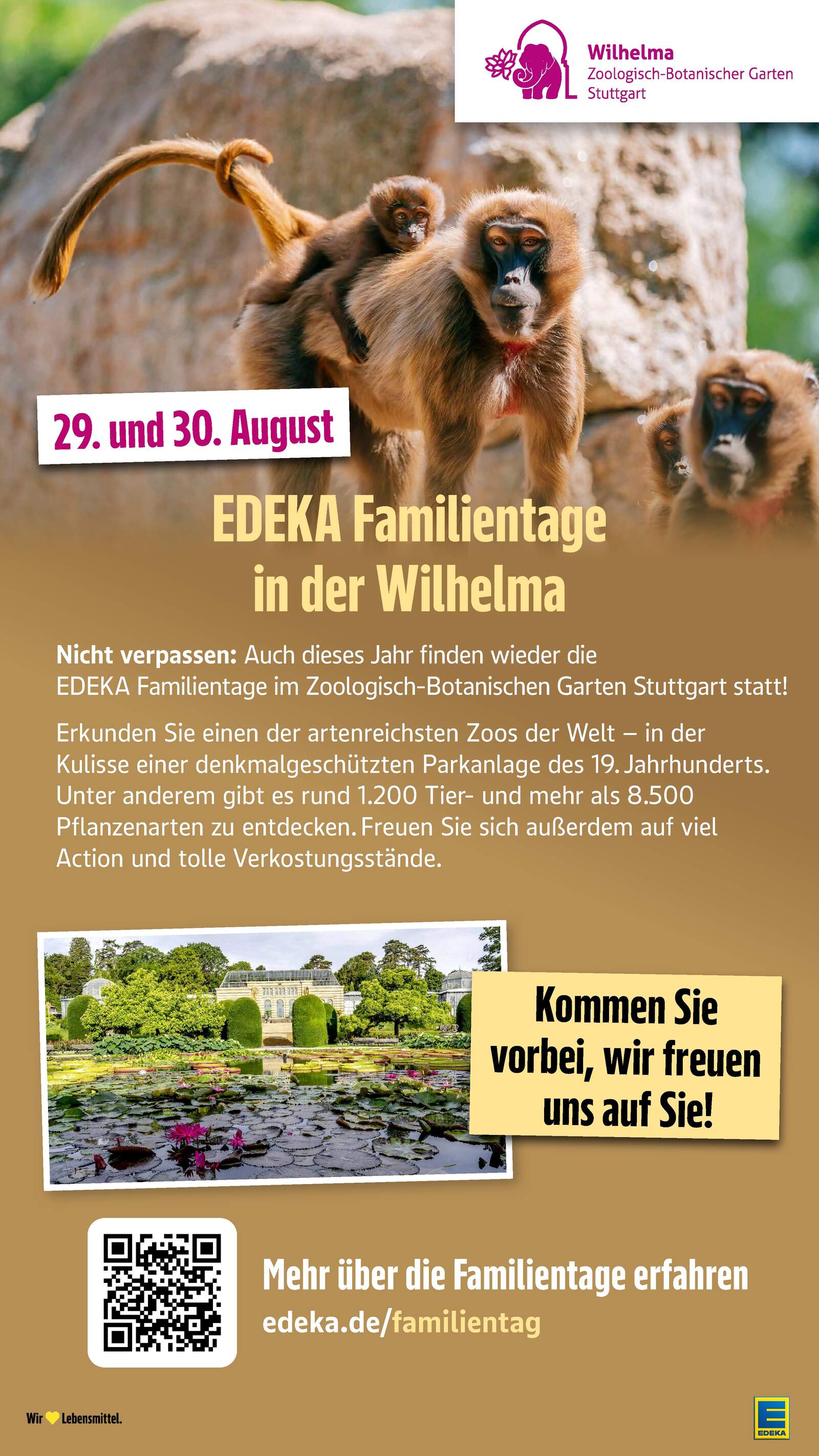 Edeka Prospekt ab Montag - Rheinland - Pfalz Seite 43