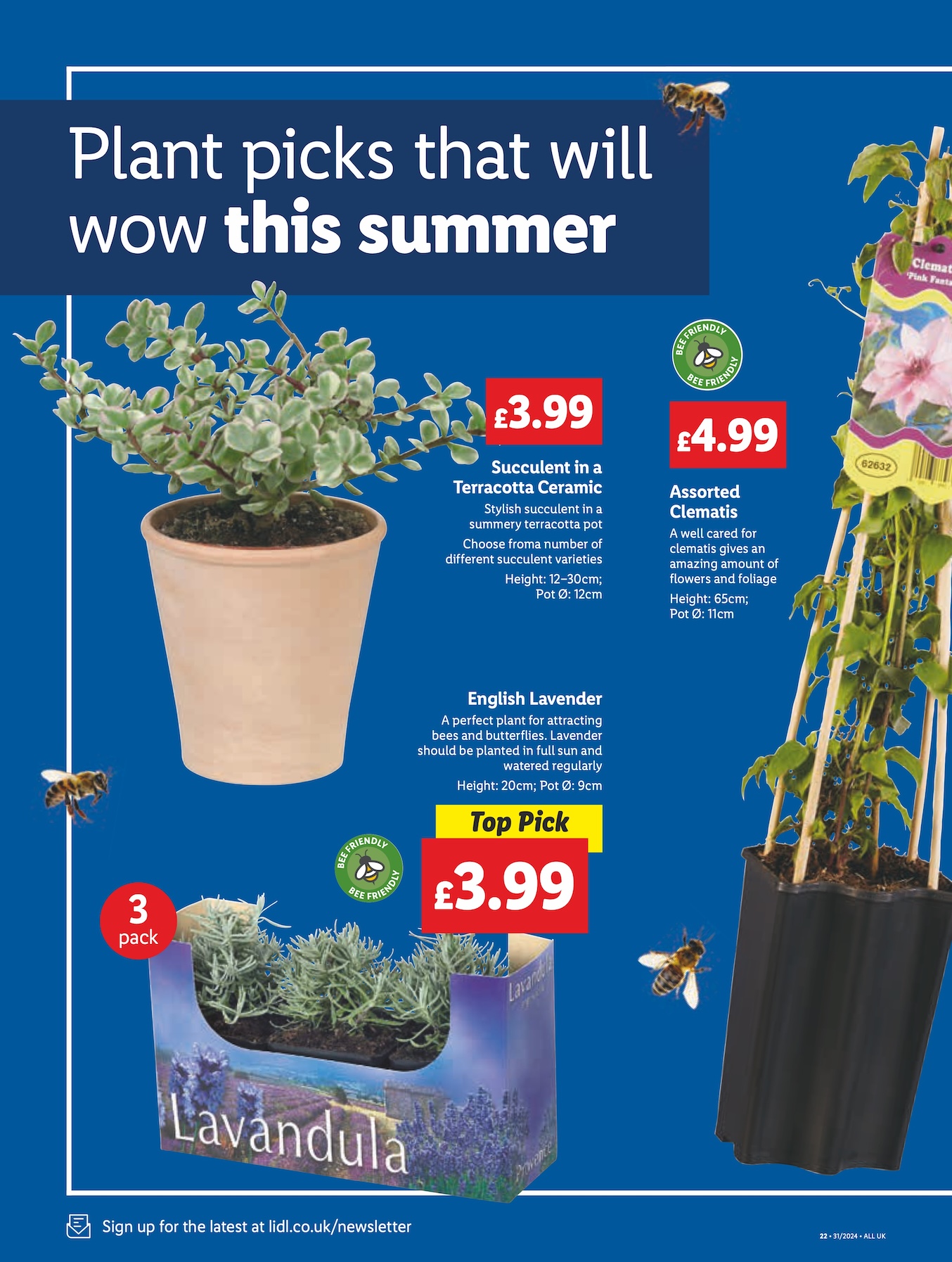 Lidl Weekly Leaflet page 24