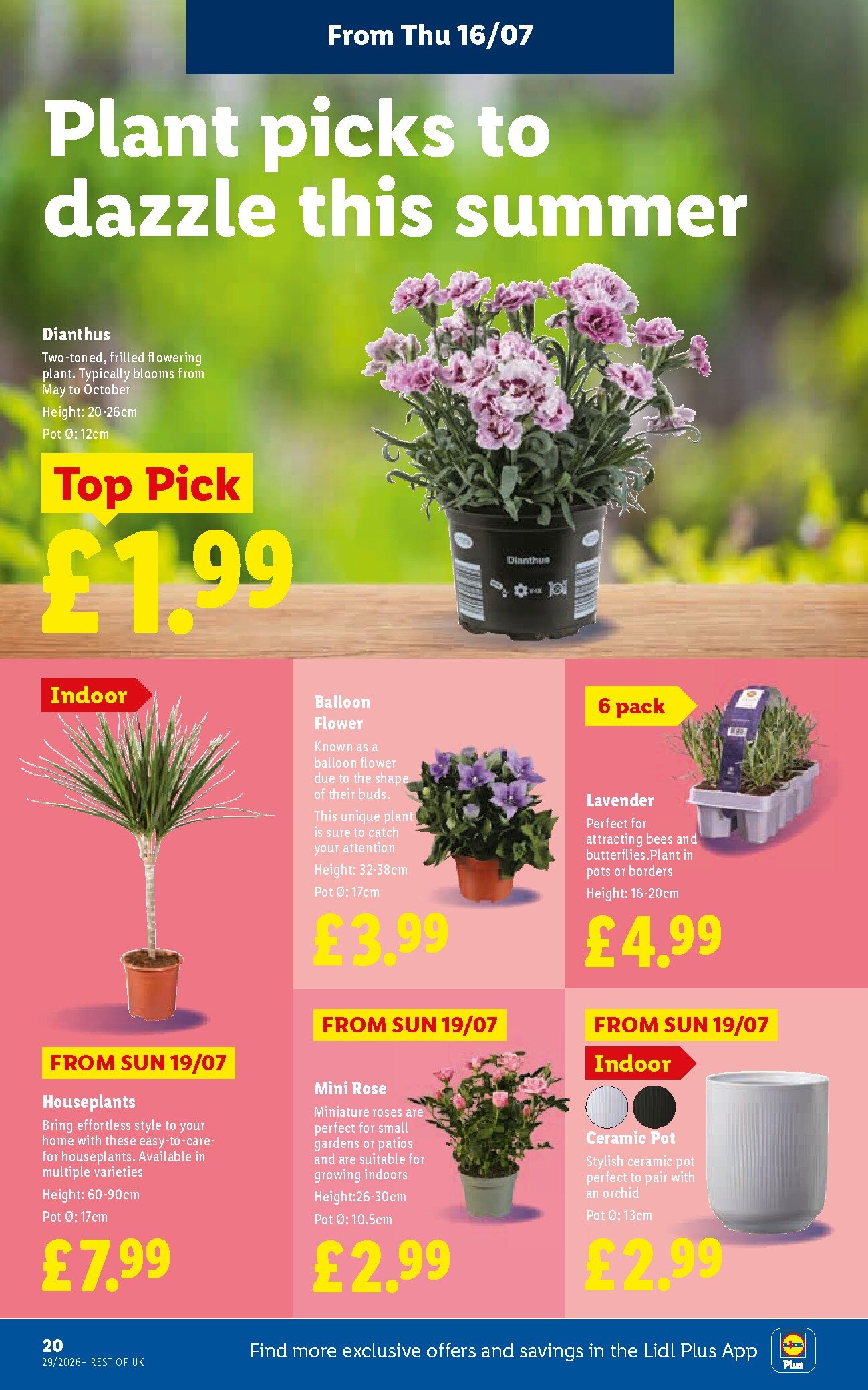 Lidl Weekly Leaflet - England page 22