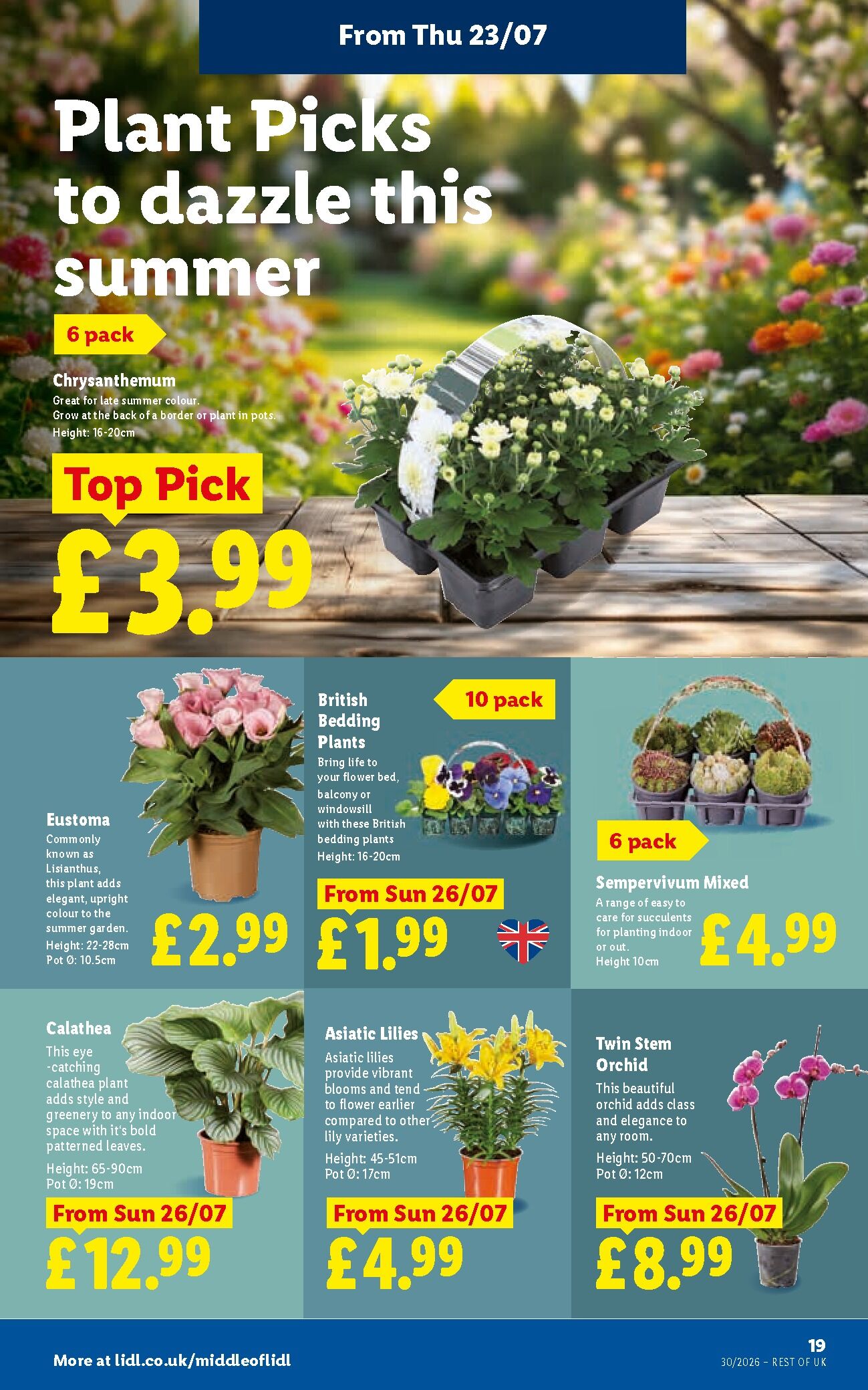 Lidl Weekly Leaflet - Wales page 21