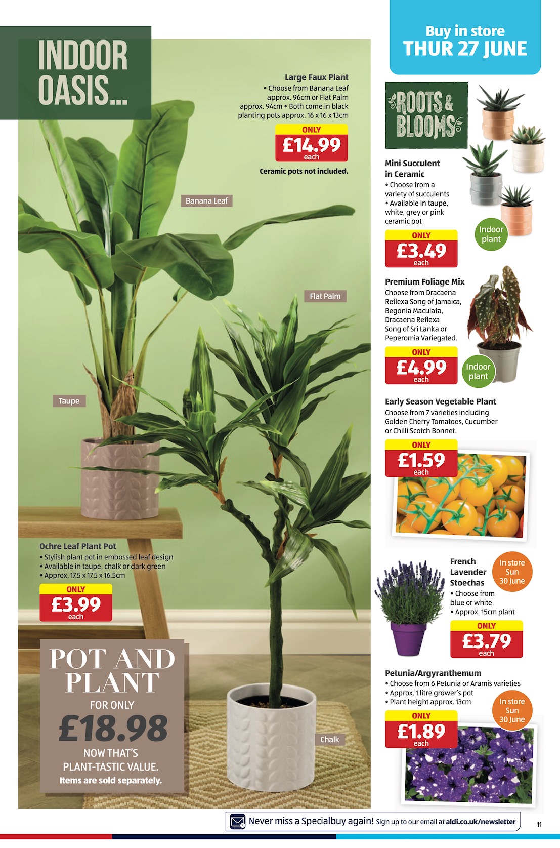 Aldi Weekly Leaflet page 11