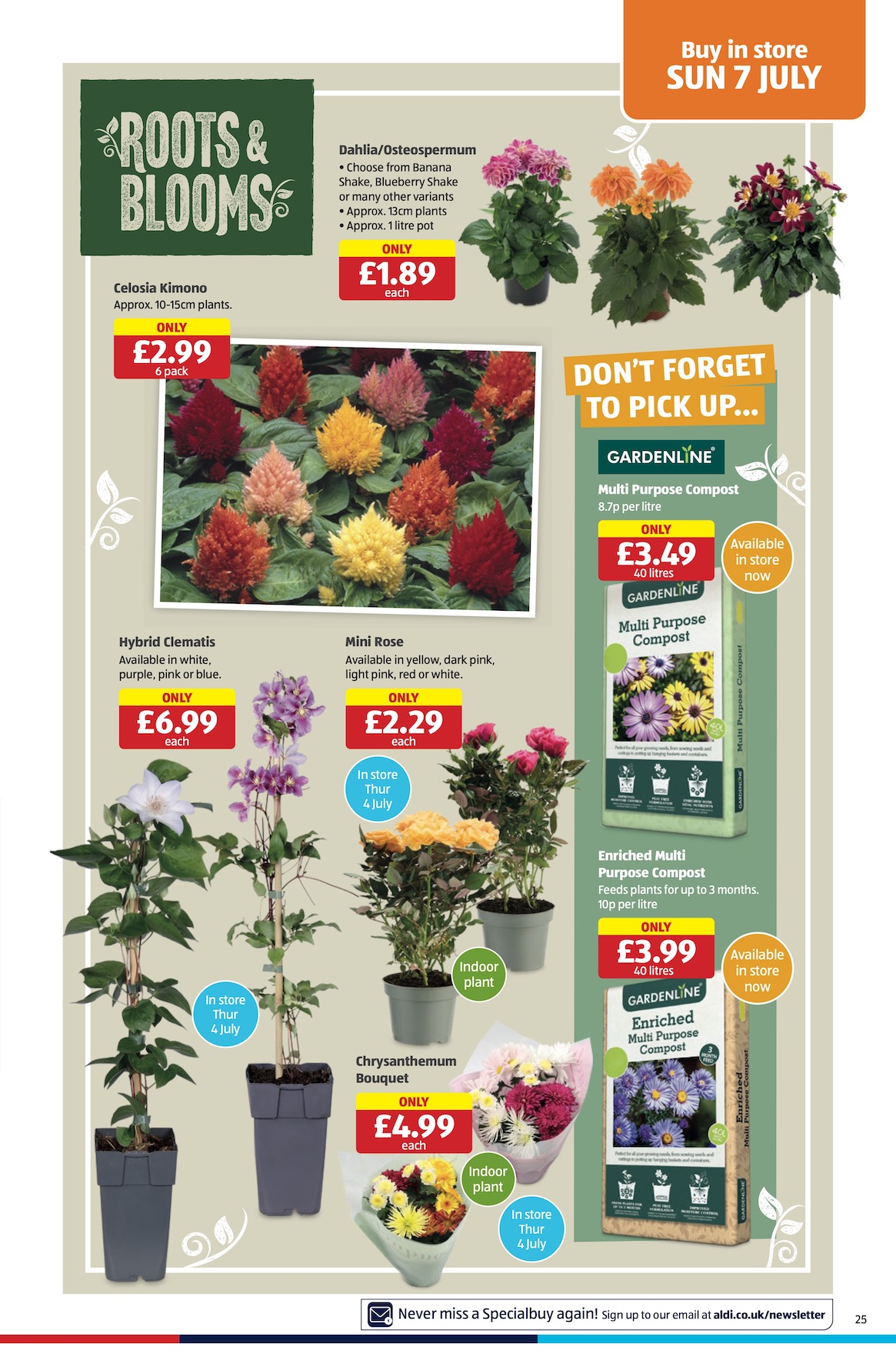 Aldi Weekly Leaflet page 25