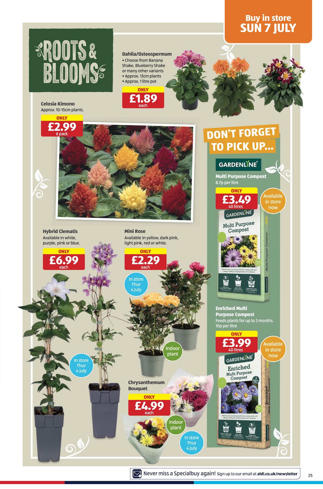 Aldi Weekly Leaflet - Scotland page 25