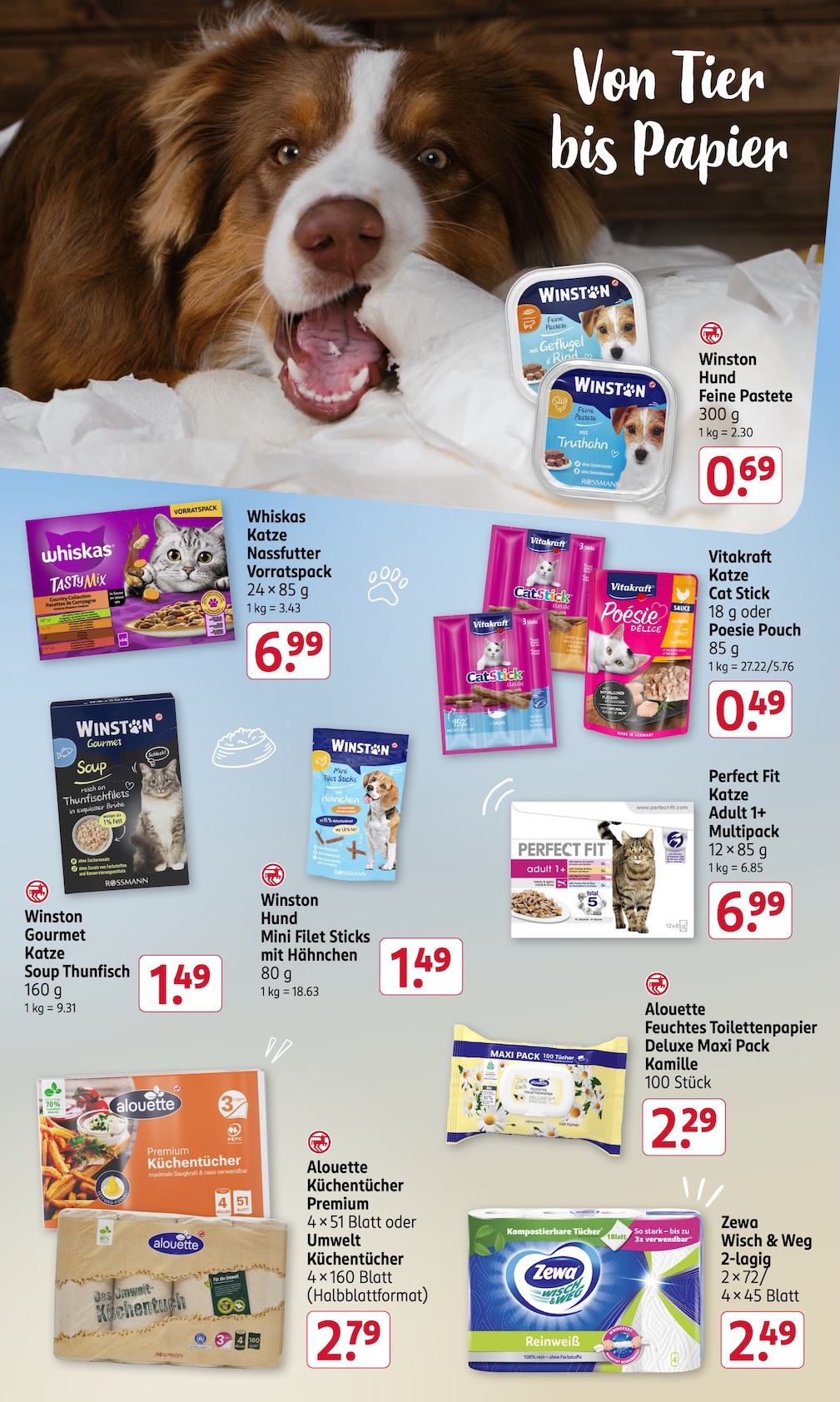 Rossmann Aktueller Prospekt ab Montag Seite 19