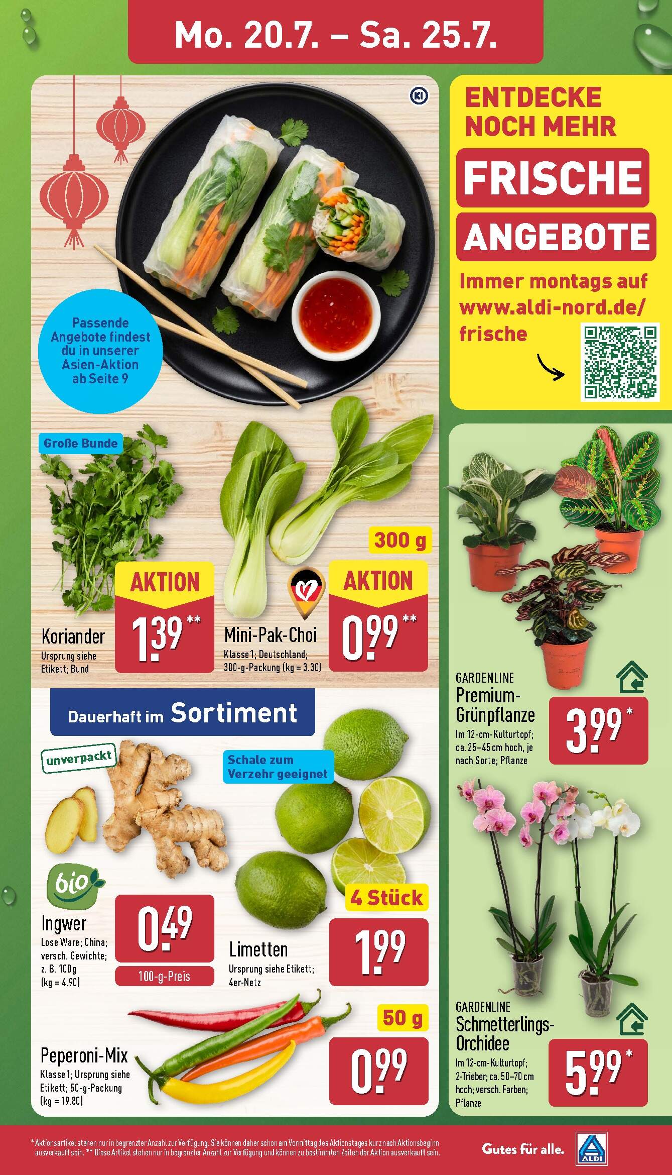 Aldi Aldi Nord Prospekt ab Montag Seite 3