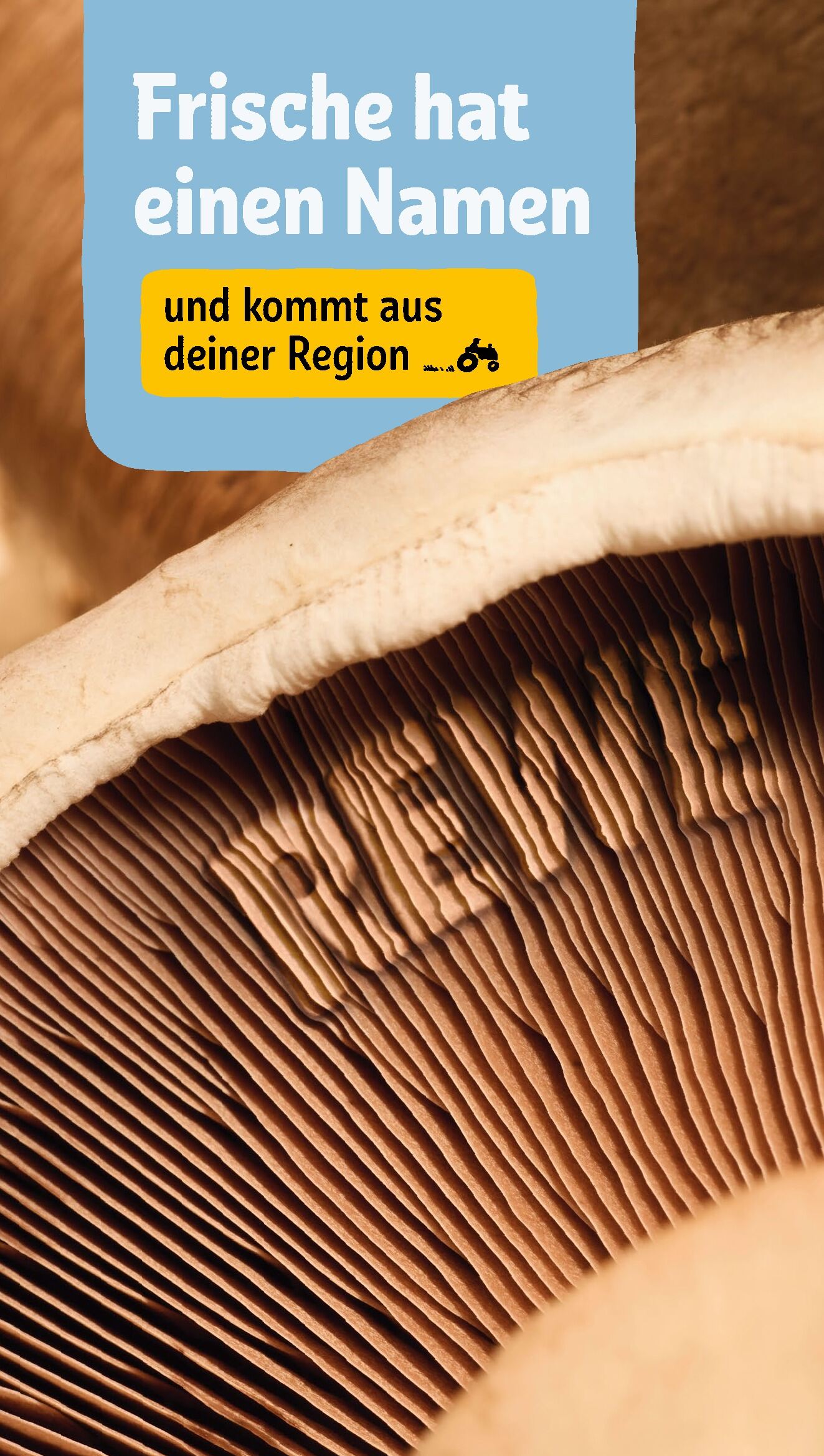 Rewe Aktueller Prospekt ab Montag Seite 23