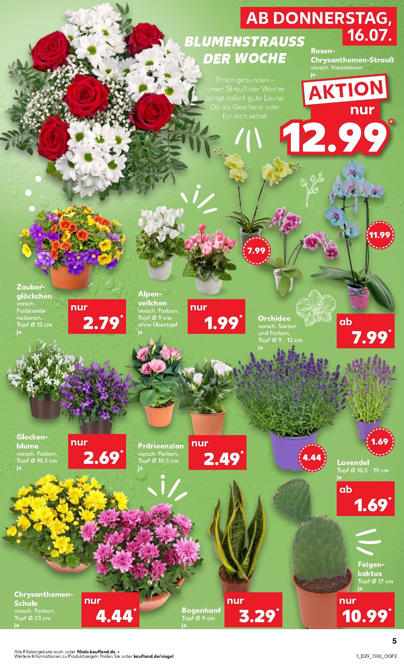 Kaufland Aktueller Prospekt ab Donnerstag Seite 5