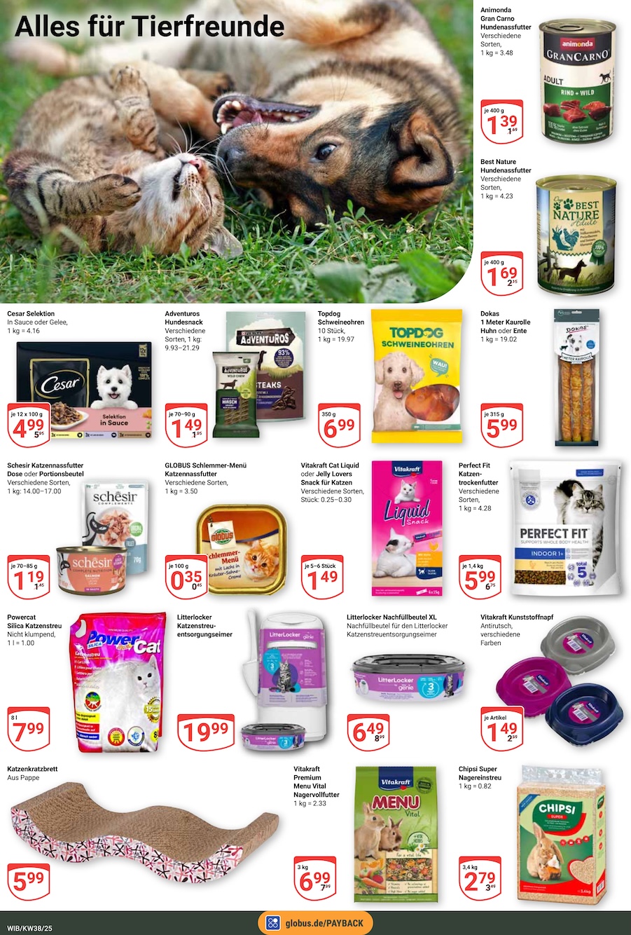 Globus Aktueller Prospekt ab Montag Seite 19