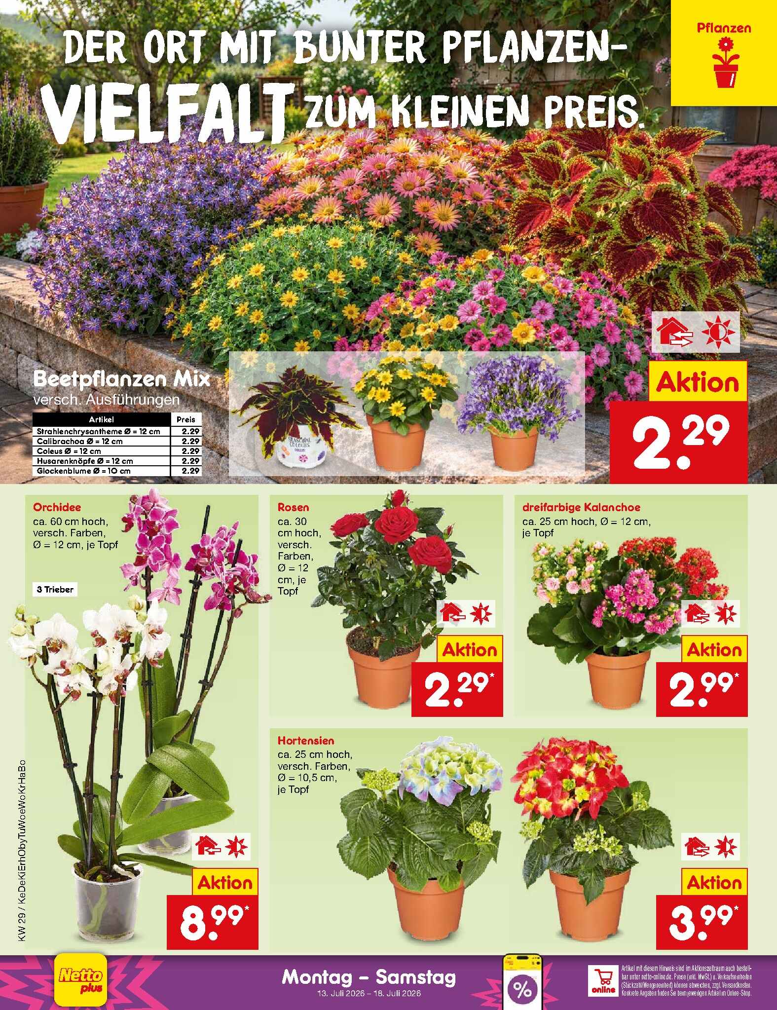 Netto Marken-Discount ab Montag Seite 42