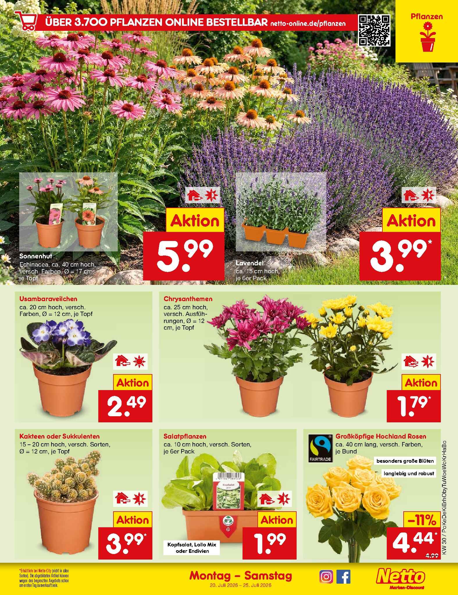 Netto Marken-Discount ab Montag Seite 46