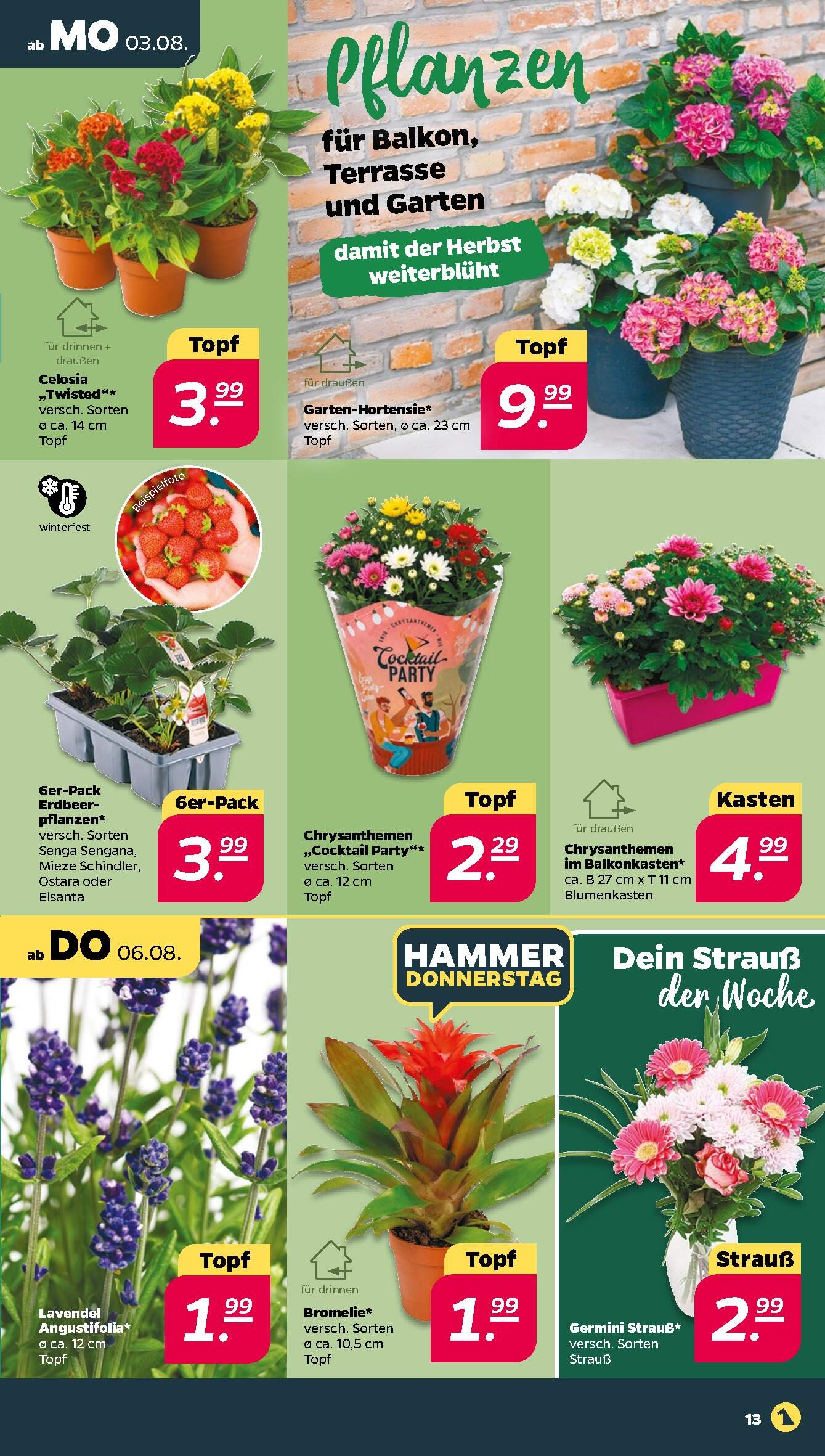 Netto Aktueller Prospekt ab Montag Seite 15